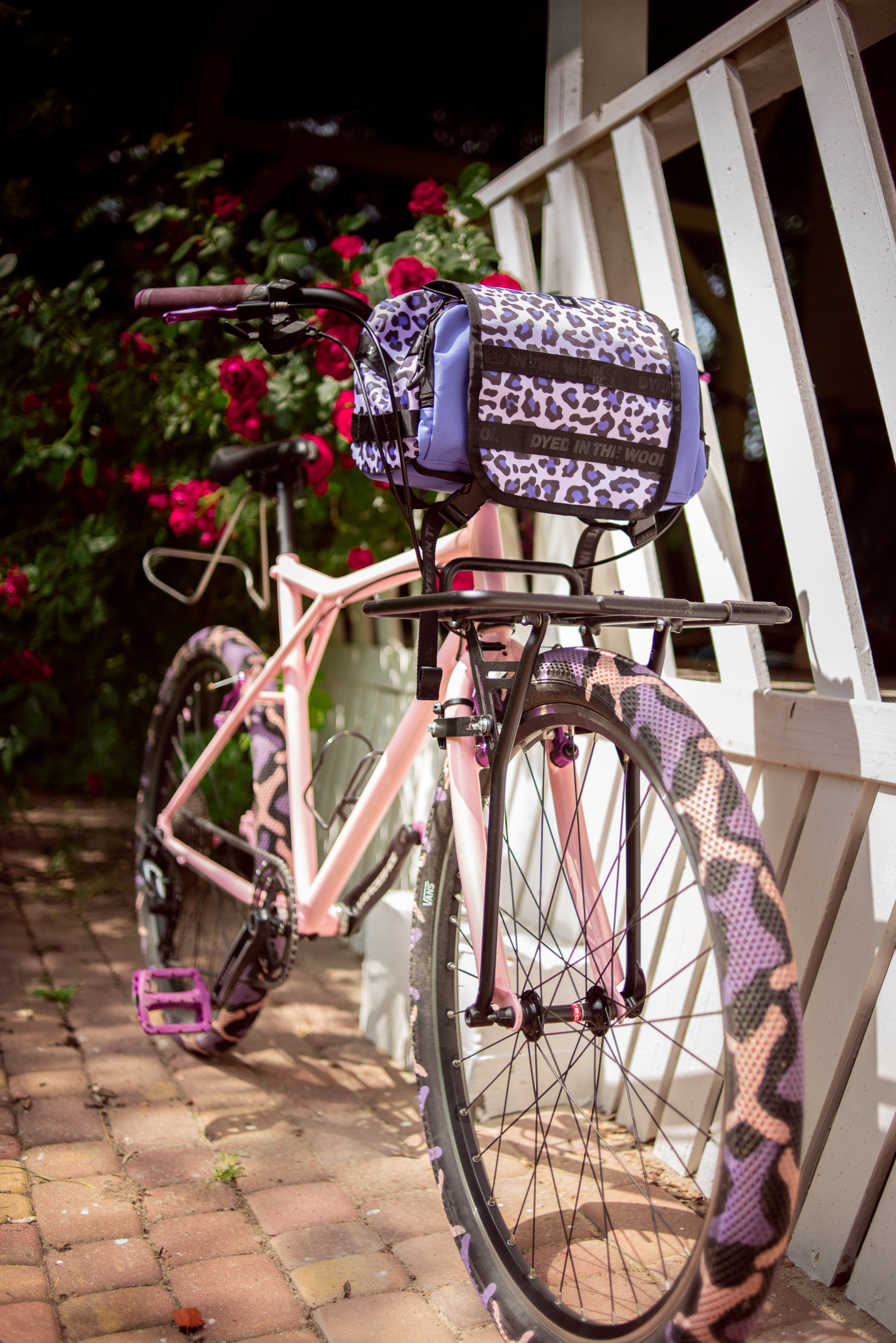 DSC_6319-Edit.jpg