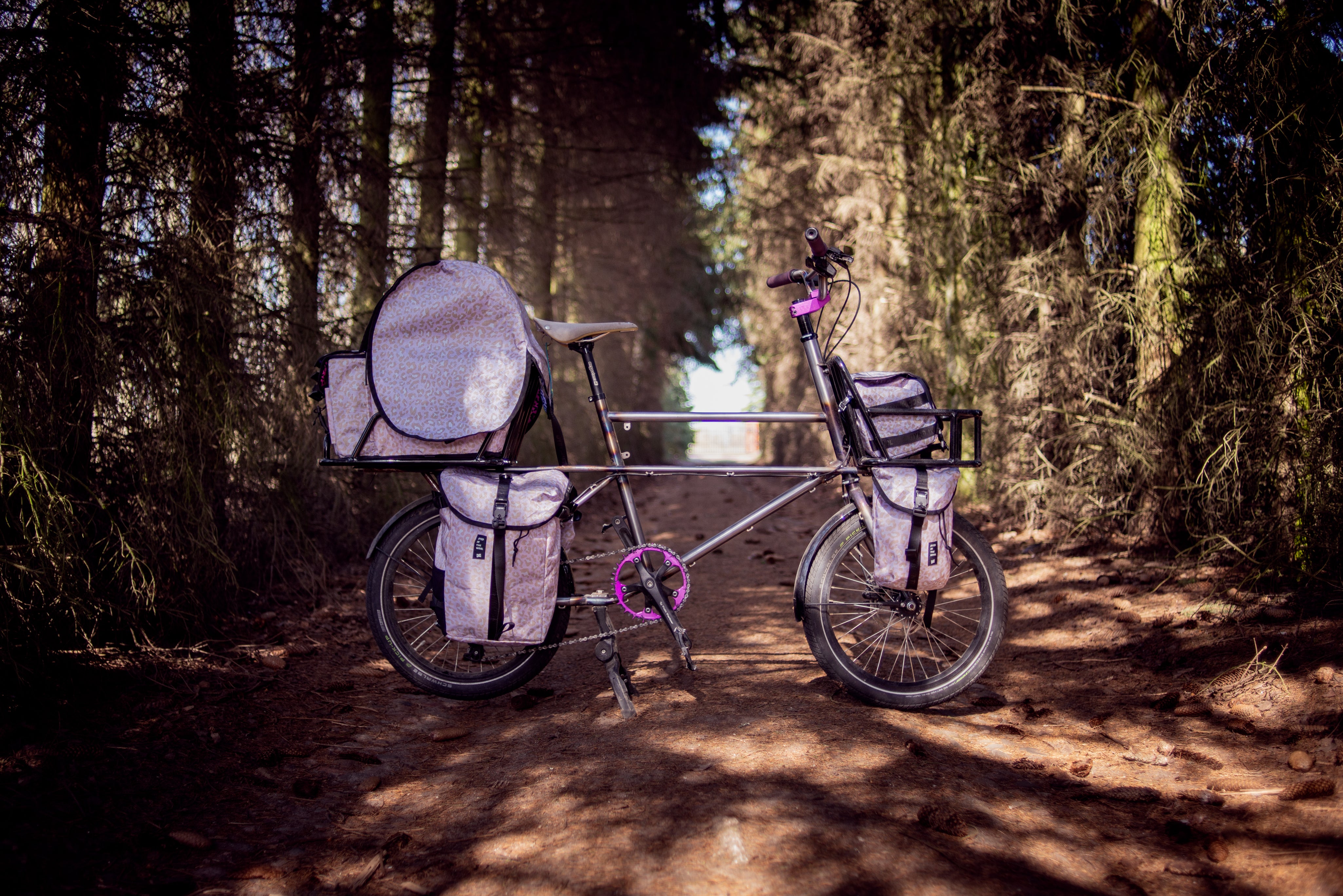 CARGO DOG BAG