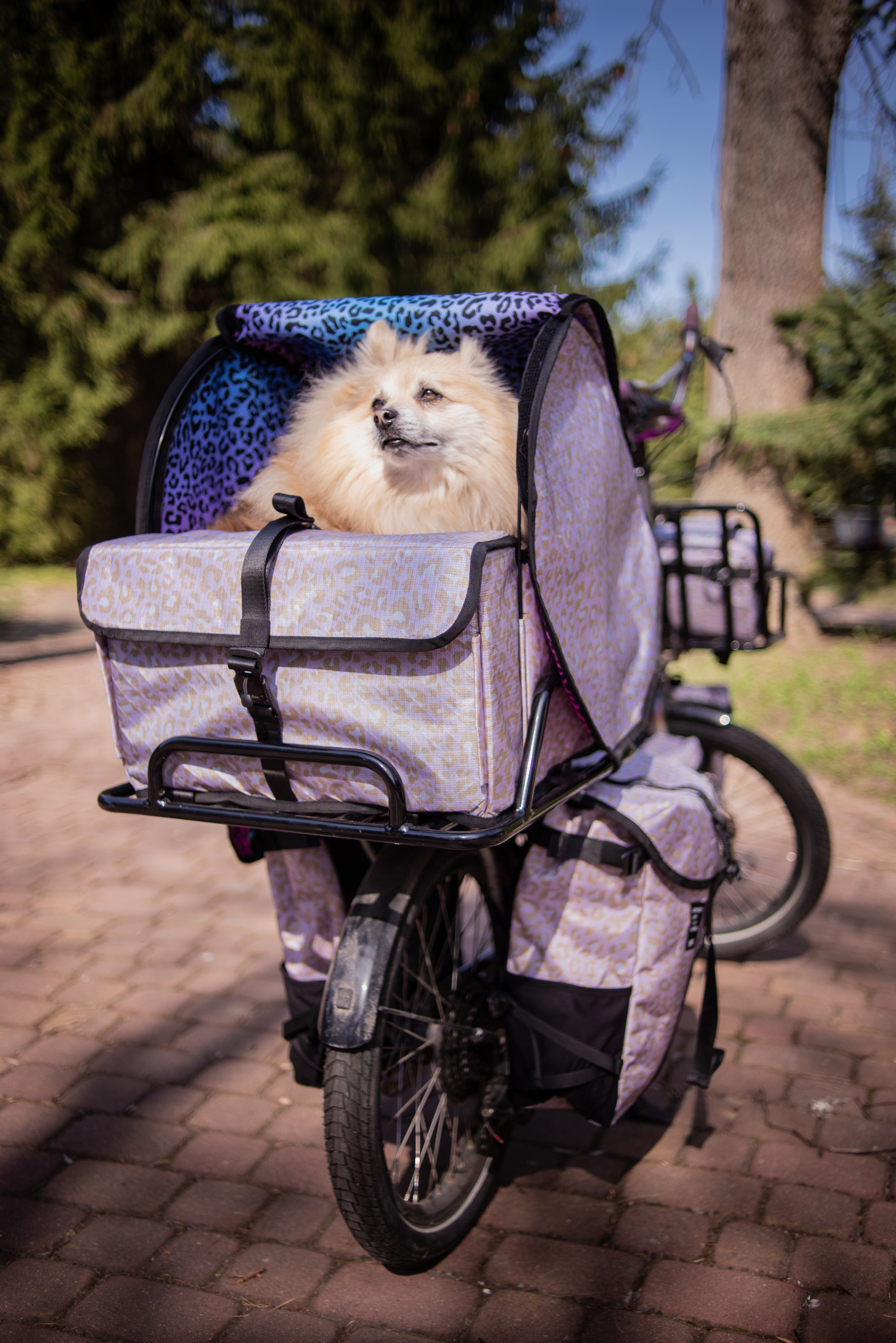 CARGO DOG BAG