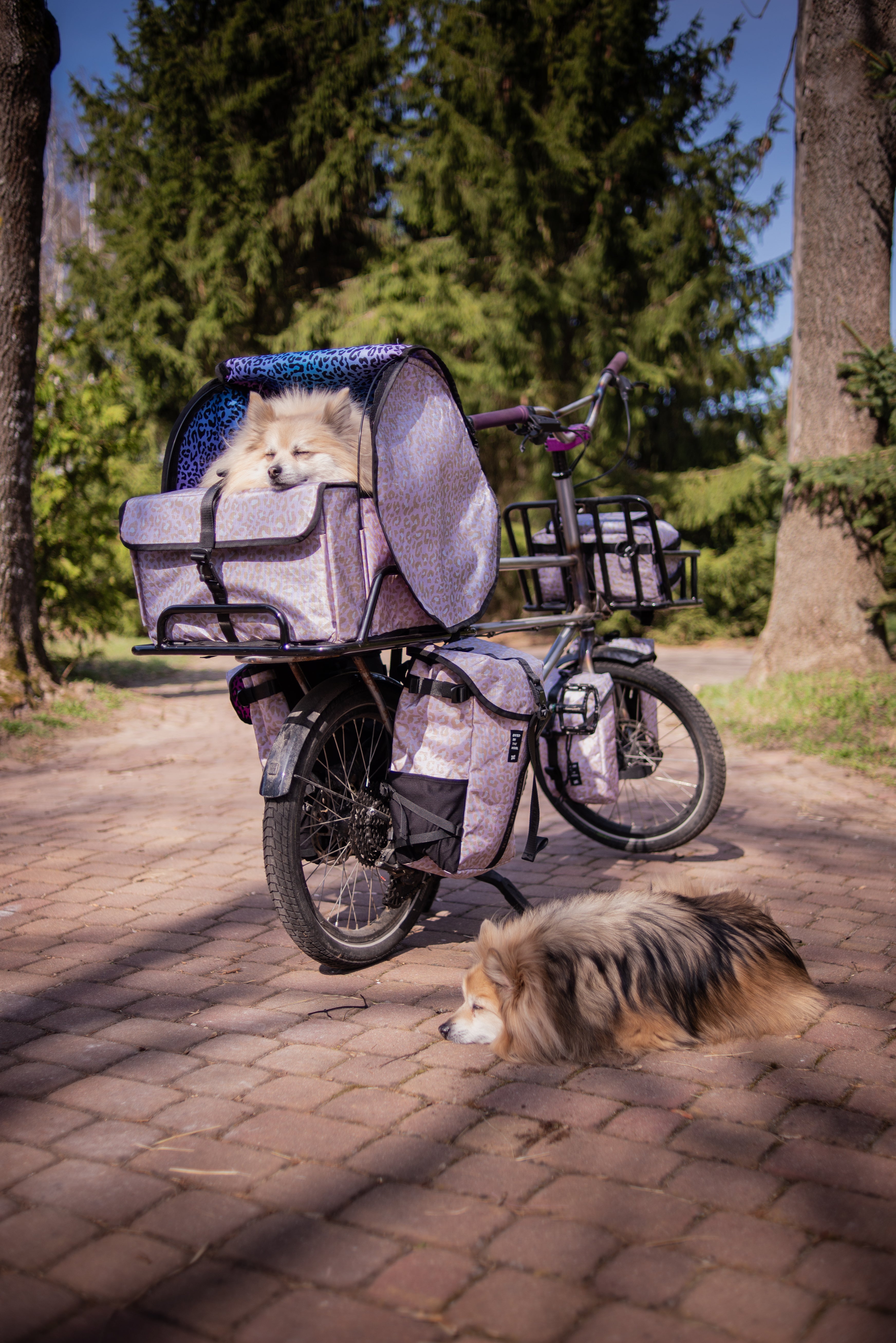 CARGO DOG BAG