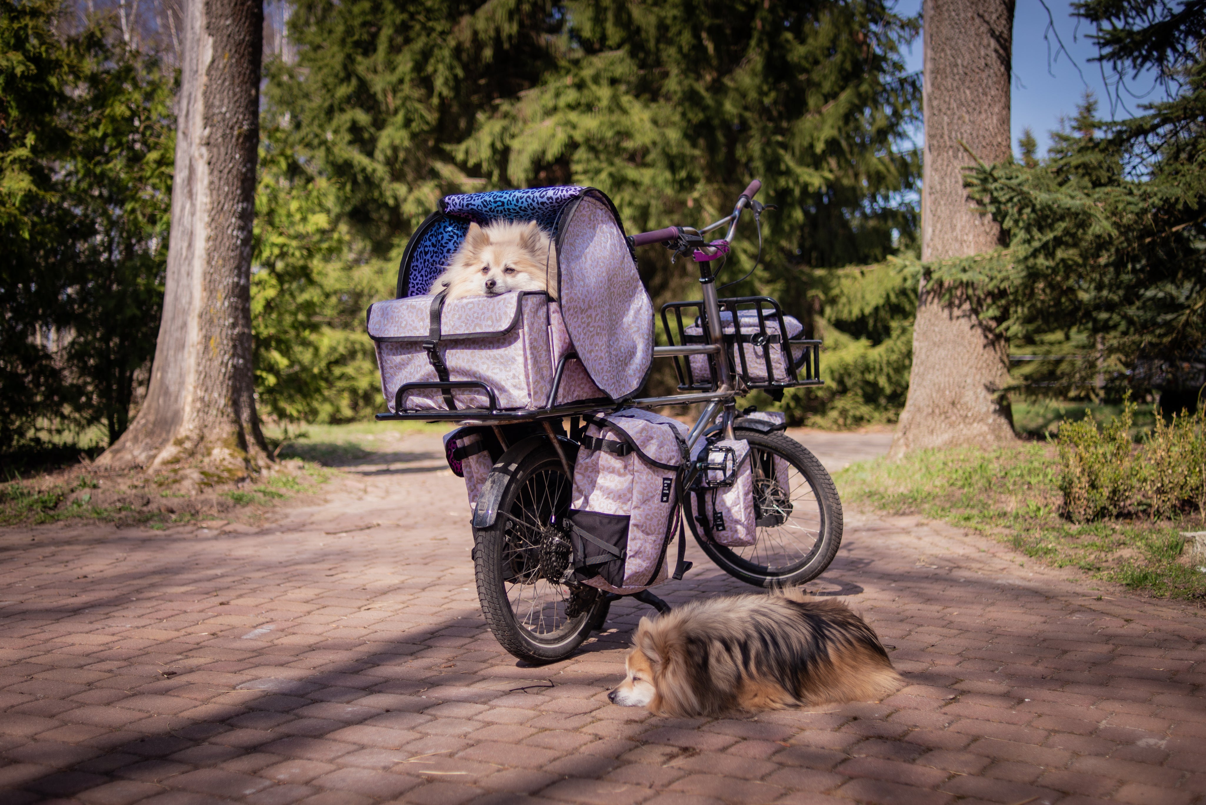 DSC_8515-Edit.jpg