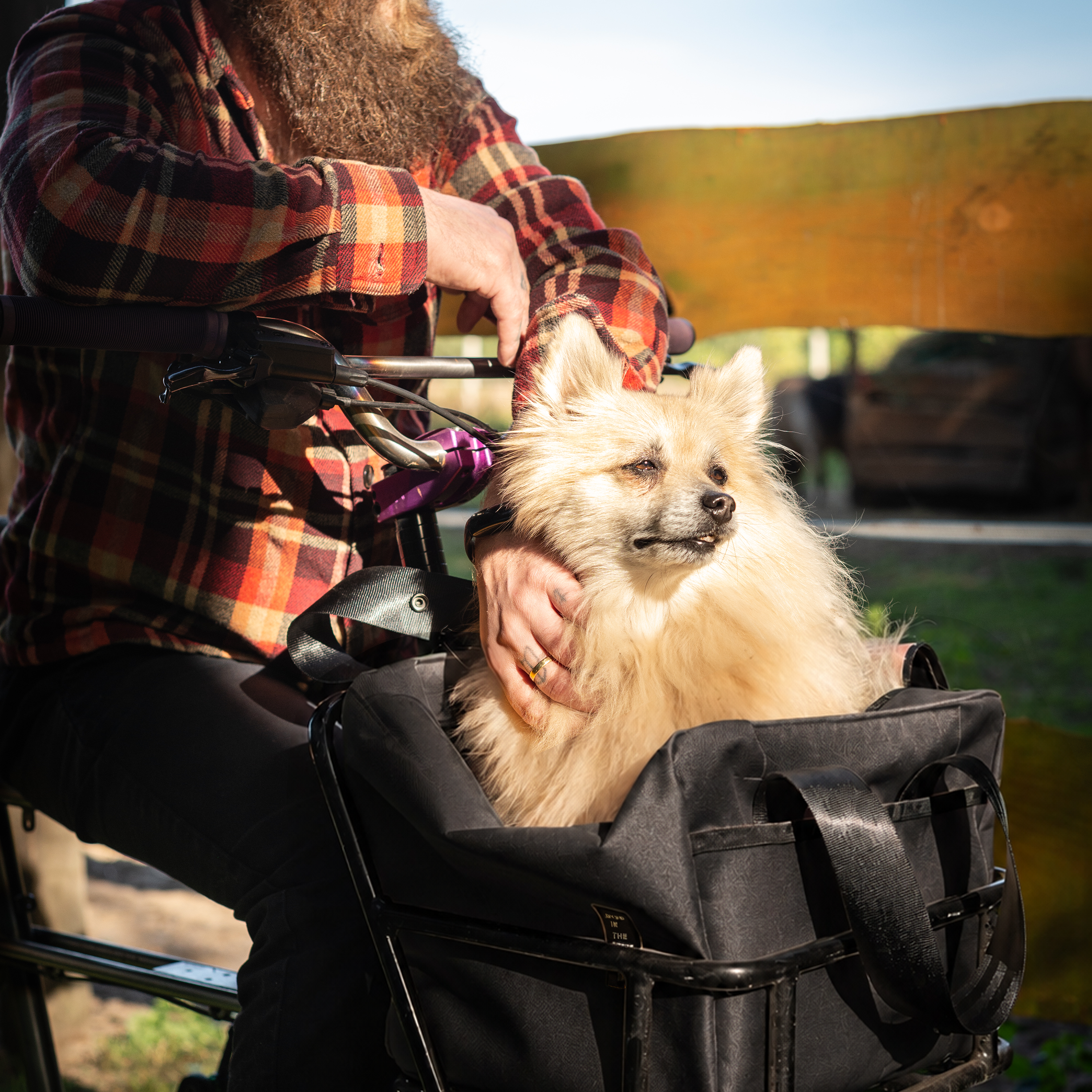 Brioche Bag for Le Petit Porteur Bike RTS
