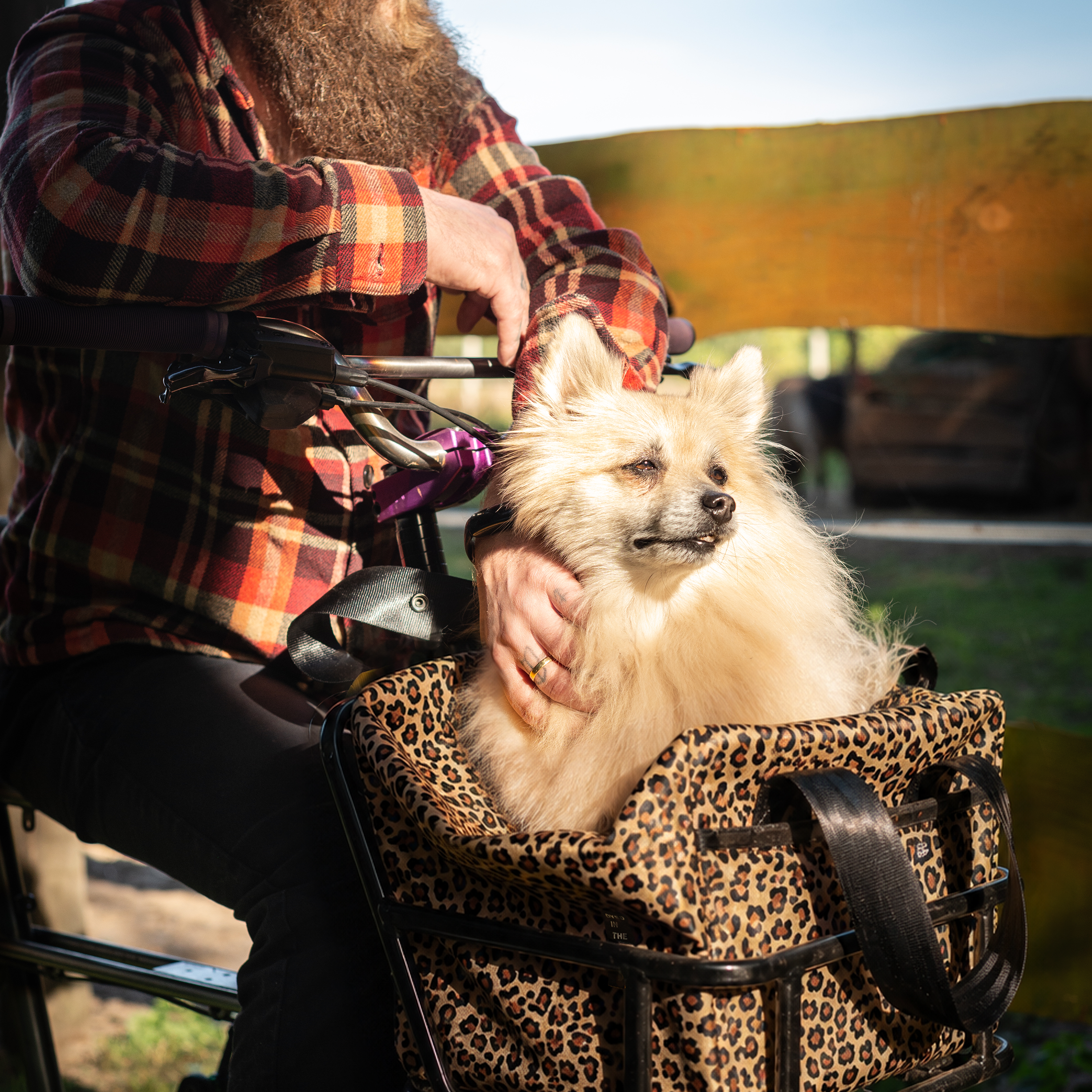 Brioche Bag for Le Petit Porteur Bike RTS