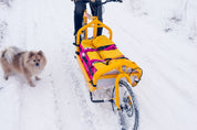 Cargo Bag for Bullitt Cargo Bike